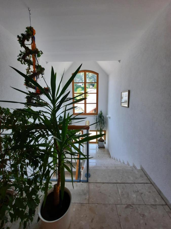 Gasthof Zahler Rofingen Екстер'єр фото